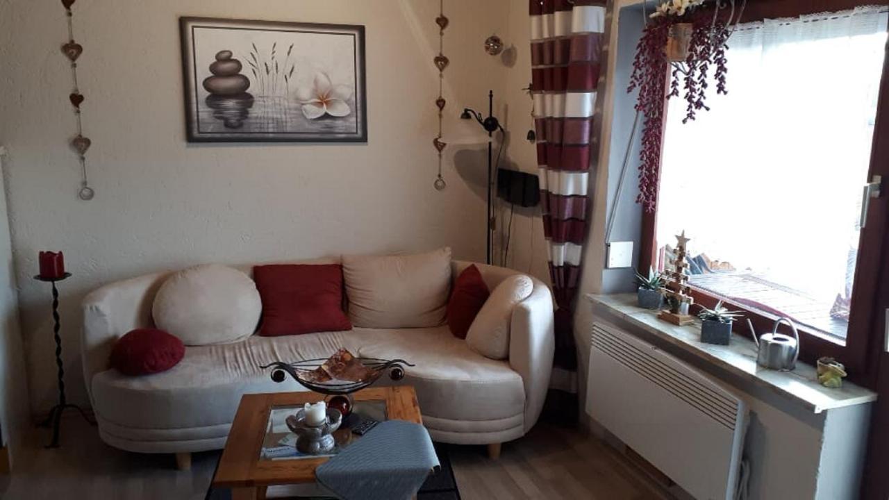 Haus Monika Apartment Waldmuenchen Ngoại thất bức ảnh